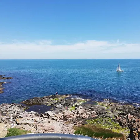 Гостевой дом за гости чайка град